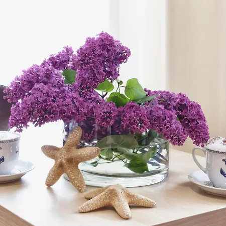 Kapitanska I Marynarska 3* Łeba