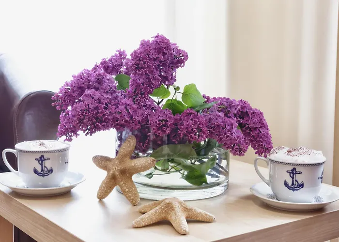 Kapitanska I Marynarska 3* Łeba